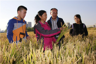 郑桂萍：深耕三十载&nbsp;爱洒万顷田